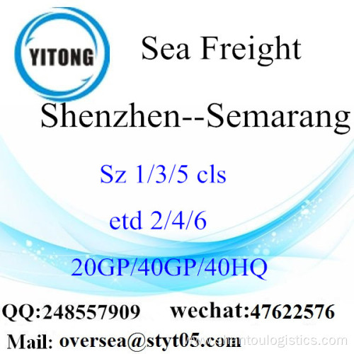 Shenzhen Port Sea Freight Shipping To Semarang